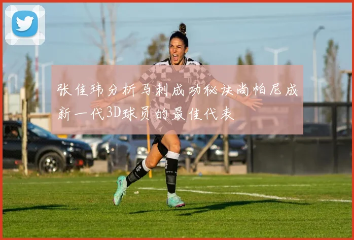 张佳玮分析马刺成功秘诀尚帕尼成新一代3D球员的最佳代表
