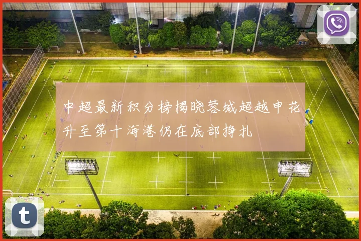 中超最新积分榜揭晓蓉城超越申花升至第十海港仍在底部挣扎